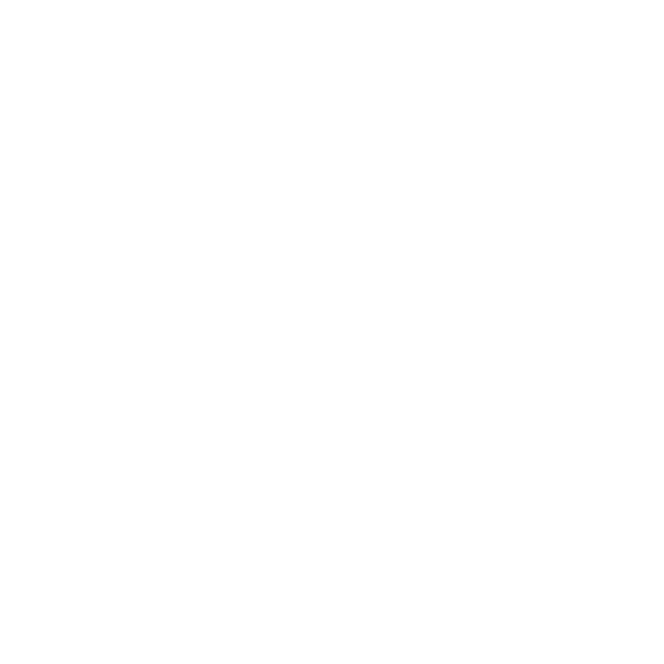 seguridad